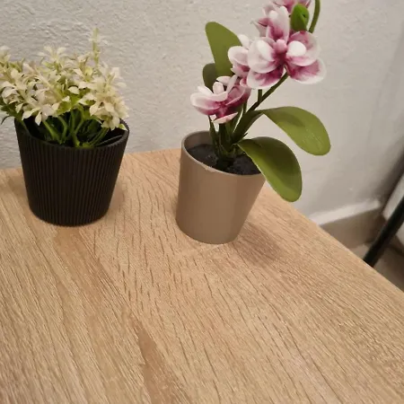 Iris Opera Center Apartament